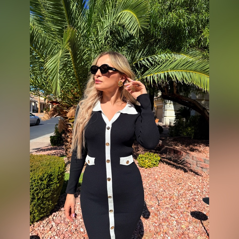 227 ‘Alex’ Elegant Black and White Button-Down Dress - Picture 6 of 9